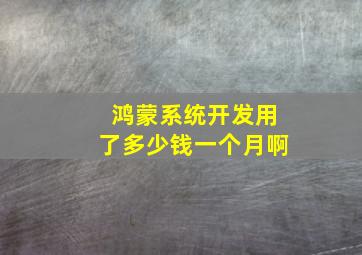 鸿蒙系统开发用了多少钱一个月啊