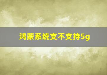 鸿蒙系统支不支持5g