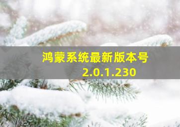 鸿蒙系统最新版本号2.0.1.230