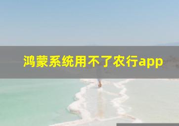 鸿蒙系统用不了农行app