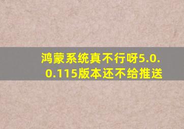 鸿蒙系统真不行呀5.0.0.115版本还不给推送