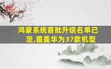 鸿蒙系统首批升级名单已定,覆盖华为37款机型