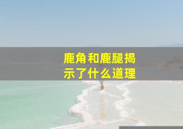 鹿角和鹿腿揭示了什么道理