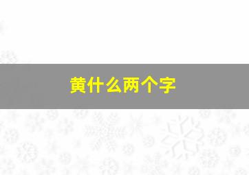 黄什么两个字