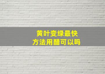 黄叶变绿最快方法用醋可以吗