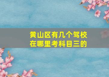 黄山区有几个驾校在哪里考科目三的