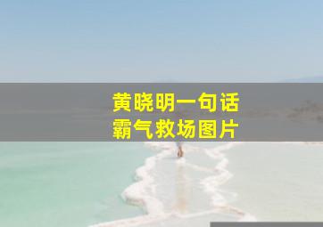 黄晓明一句话霸气救场图片