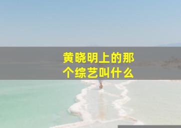 黄晓明上的那个综艺叫什么