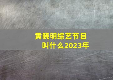 黄晓明综艺节目叫什么2023年