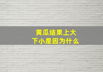 黄瓜结果上大下小是因为什么