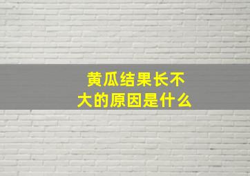 黄瓜结果长不大的原因是什么