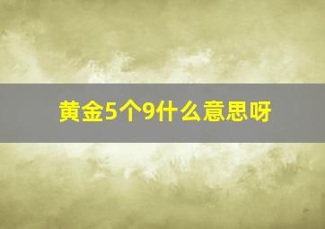 黄金5个9什么意思呀