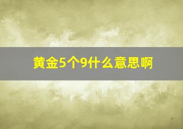 黄金5个9什么意思啊