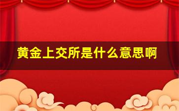 黄金上交所是什么意思啊