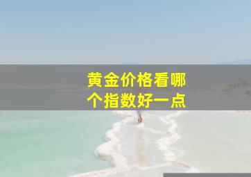 黄金价格看哪个指数好一点