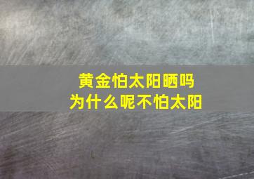 黄金怕太阳晒吗为什么呢不怕太阳