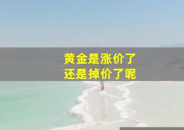 黄金是涨价了还是掉价了呢