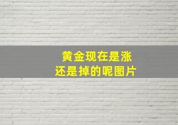 黄金现在是涨还是掉的呢图片