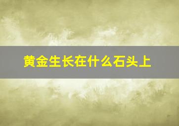 黄金生长在什么石头上