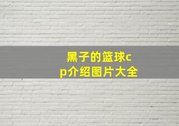 黑子的篮球cp介绍图片大全