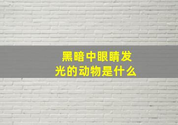 黑暗中眼睛发光的动物是什么