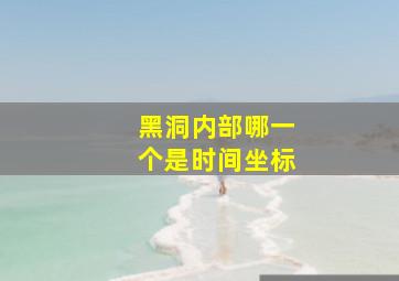 黑洞内部哪一个是时间坐标