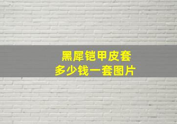 黑犀铠甲皮套多少钱一套图片