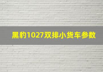 黑豹1027双排小货车参数