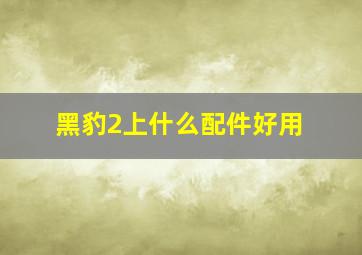 黑豹2上什么配件好用