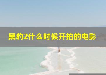 黑豹2什么时候开拍的电影