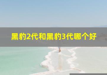 黑豹2代和黑豹3代哪个好