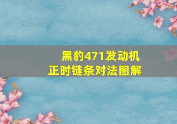 黑豹471发动机正时链条对法图解