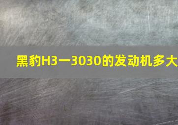 黑豹H3一3030的发动机多大