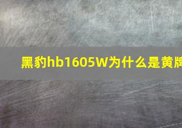 黑豹hb1605W为什么是黄牌