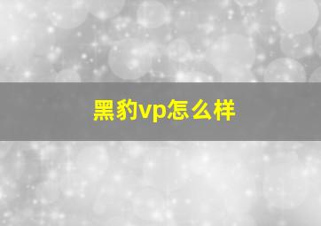 黑豹vp怎么样