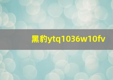 黑豹ytq1036w10fv