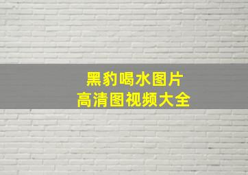 黑豹喝水图片高清图视频大全