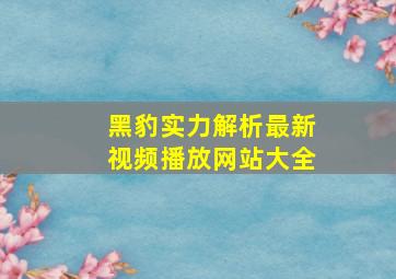 黑豹实力解析最新视频播放网站大全