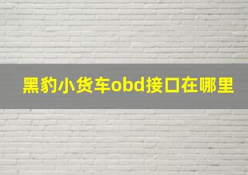 黑豹小货车obd接口在哪里