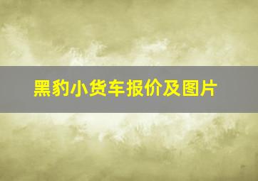 黑豹小货车报价及图片