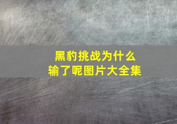 黑豹挑战为什么输了呢图片大全集