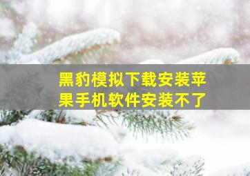 黑豹模拟下载安装苹果手机软件安装不了