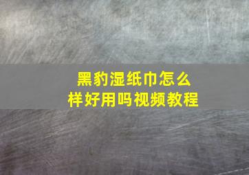 黑豹湿纸巾怎么样好用吗视频教程