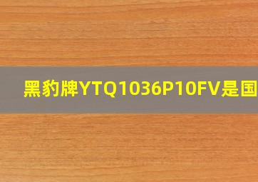 黑豹牌YTQ1036P10FV是国几的