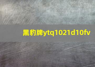 黑豹牌ytq1021d10fv