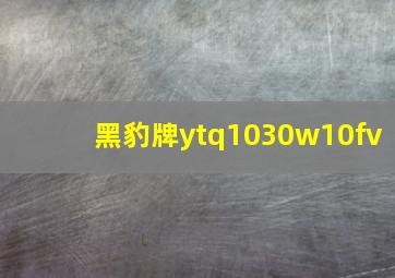 黑豹牌ytq1030w10fv