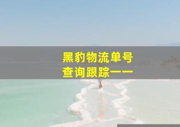 黑豹物流单号查询跟踪一一