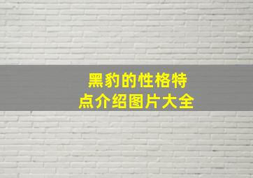 黑豹的性格特点介绍图片大全