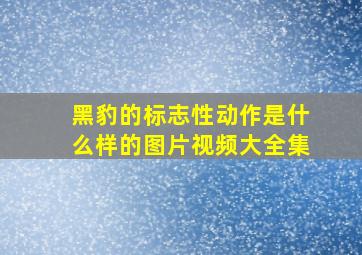 黑豹的标志性动作是什么样的图片视频大全集