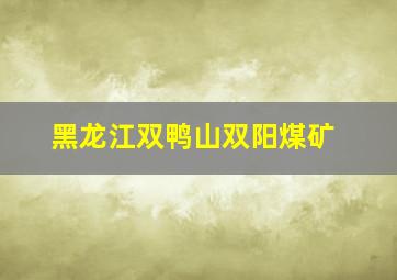 黑龙江双鸭山双阳煤矿